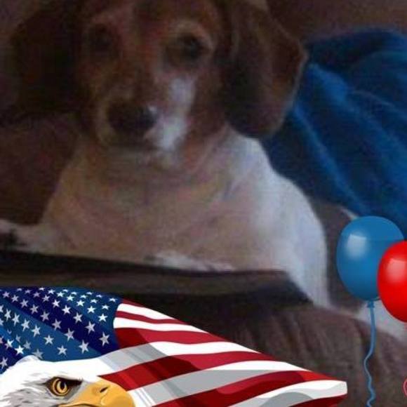 Meet your Posher, Patrick - Picture 1 of 1